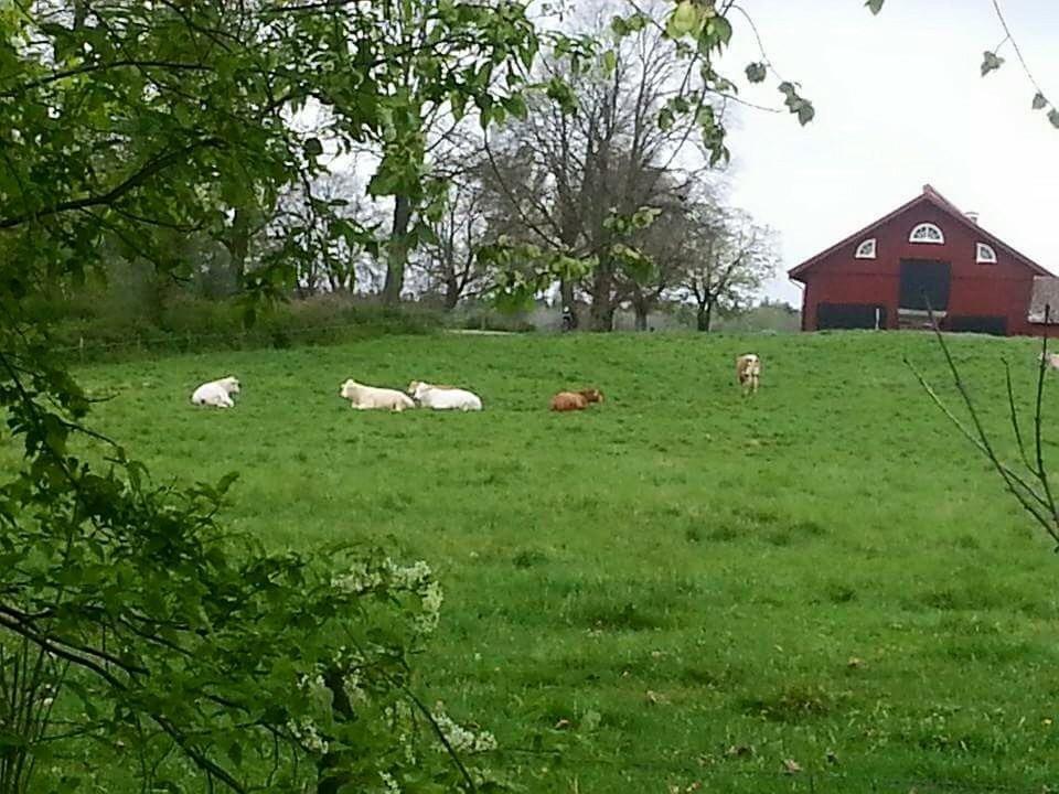 Stora Djuloe Vandrarhem Katrineholm Exterior foto